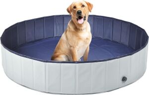 PETACE Foldable Hard Plastic Dog Pool, 63 x 12 inches 