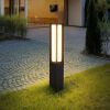 Stainless Steel LED Landscape Path Light 8W 800LM 32" 