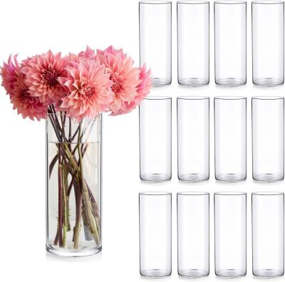 Doubay 12 Pack Cylinder Glass Vases 10" Tall 