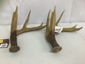 Lot of (2) Poly Resin Antlers - E-Commerce Return, Damaged Tips