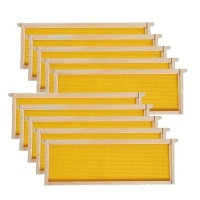 MayBee Hives-Medium Super Beehive Frames and Foundations,10 Pack Honey Bee Frames with 100% Beeswax Coated Food Grade Foundation Sheets, 6-1/4-Inch (Yellow)&nbsp;&nbsp;