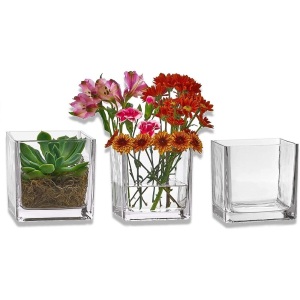 Set of 3 Glass Square Vases 5 X 5 Inch – Clear Cube Shape Flower Vase, Candle Holders - Perfect As A Wedding Centerpieces, Home Decoration