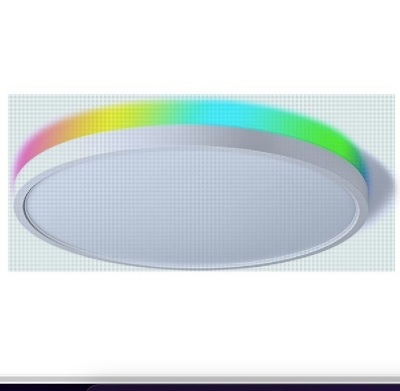 TALOYA Smart Ceiling Light Flush Mount LED WiFi,Compatible with Alexa Google Home,Dimmable Low Profile Ambient Light Fixture for Bedroom Living Room Hallway...