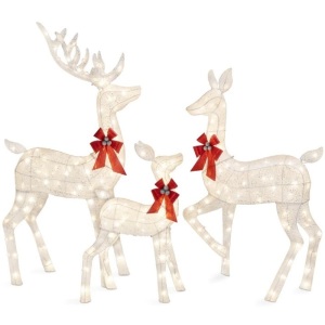 3-Piece Lighted Christmas Deer Set Outdoor Decor with LED Lights