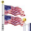 WinisKi Telescoping Flag Pole 30ft Extra Thick, Silver