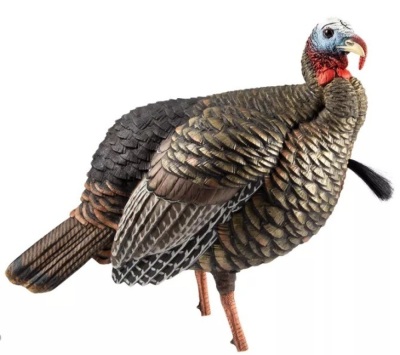 Avian-X HDR Jake Turkey Decoy - E-Commerce Return