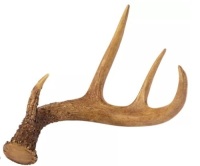 Lot of (2)&nbsp;Polyresin Antler Decor