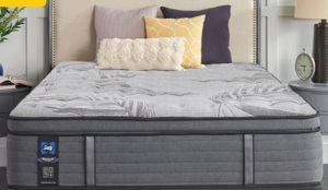 Queen Size Sealy Posturepedic® Plus Satisfied II 14" Plush Mattress $1599.00