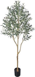 Fake Olive Tree