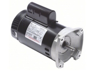 CENTURY Pool and Spa Pump Motor