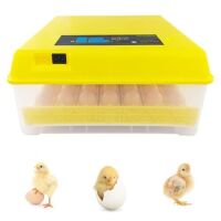 Digital Egg Incubator with Automatic Egg Turning and Temperature, Humidity Control&nbsp;