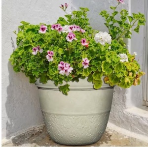 12.5 In. Clover River Stone Resin Planter lot of 7 @ $14.56 =$101.92 Indoor/outdoor resin construction is lightweight and durable UV coated finish protects colors from fading Weather and crack resistant