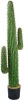 Vintage Home Botanicals Indoor/Outdoor Decorative Artificial Mexican Cactus in Plastic Pot, 55". Appears New