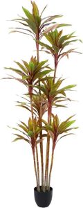 Waoops Artificial 6.3Ft Cordyline Fruticosa Tree in Pot 