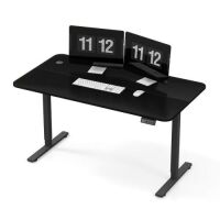 55" Electric Height Adjustable Standing Desk&nbsp;