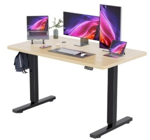 Electric Standing Desk