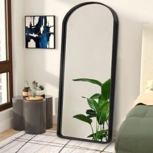 NeuType 21-in W x 64-in H Black Polished Full Length Wall Mirror