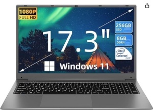 SGIN 17" Laptop, 8GB RAM 256GB SSD Notebook, 17 Inch Laptops with IPS Full HD, Intel Celeron N4020(Up to 2.8GHz), Mini HDMI, Webcam, Dual Wi-Fi, Expandable Storage 512GB TF(Gray)