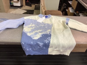 Aelfric Eden blue and white sweater size XL