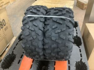 Lot of (2) ATV Tires - 1 Front, 1 Rear 