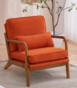 Mid-Century Indoor Lounge Chair