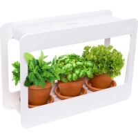 Mindful Design Narrow Spectrum LED Indoor Herb Garden&nbsp;Mini Window Planter Kit