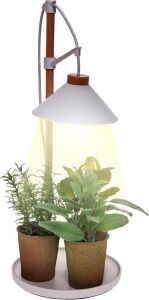 Mindful Design Tabletop Plant Grow Light with Timer, 300 Lumens