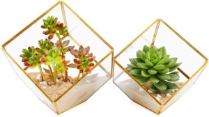 Lot of (7) Evern Geometric Succulent Terrarium Planters, 2 per Box, Gold - NEW