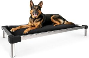 FXW Titanest Chew Proof Padded Elevated Dog Bed 58"