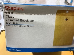 100 6x9 clasp gummed envelopes