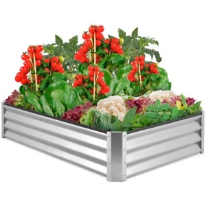 Outdoor Metal Raised Garden Bed for Vegetables, Flowers, Herbs - 6x3x1ft