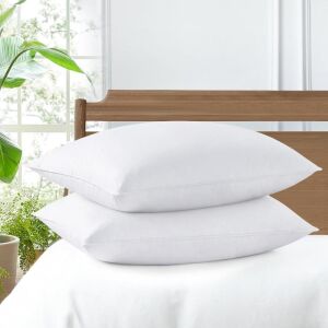 Goose Feather Down Pillows, Standard Queen, 2 Pack 