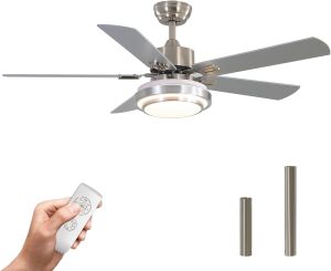 warmiplanet 52 Inch Indoor Ceiling Fan with Remote