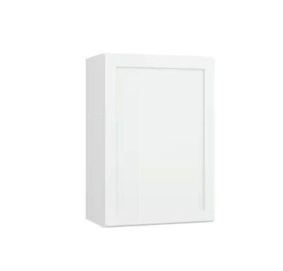 Hampton Bay Courtland 21 in. W x 12 in. D x 30 in. H Assembled Shaker Wall Kitchen Cabinet in Polar White - Damaged Corner