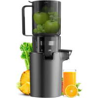Masticating Juicer Machines