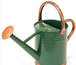 1-Gallon Galvanized Steel Watering Can w/ O-Ring, Top Handle