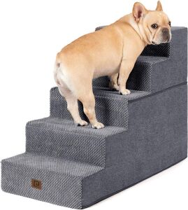 5-Step Dog Steps 