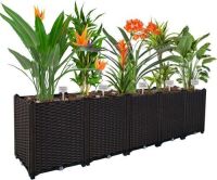 &nbsp;Raised Garden Bed Planter Box&nbsp;