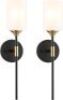 Industrial Mid Century Wall Sconce with White Cylinder Glass Shades,&nbsp;Set of 2