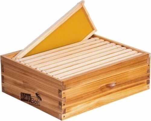 Langstroth Medium Super Beehive Kit, 10-Frame Box with Wax Coated Wooden Frames & Foundations