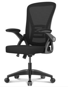 Naspaluro Ergonomic Office Chair