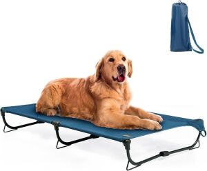 Folding Elevated Dog Bed