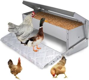 Automatic Poultry Feeder