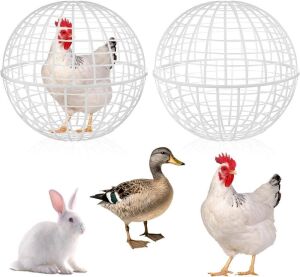 Chicken Orb Cage, 3 pc 