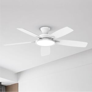 Taloya Ceiling Fan with Light 