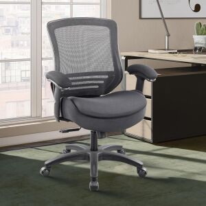 WITTLONG Double Seat Cushion Office Chair 