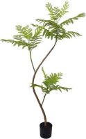 Artificial Jacaranda Mimosifolia Tree, 5.6'&nbsp;&nbsp;