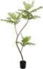 Artificial Jacaranda Mimosifolia Tree, 5.6'&nbsp;&nbsp;