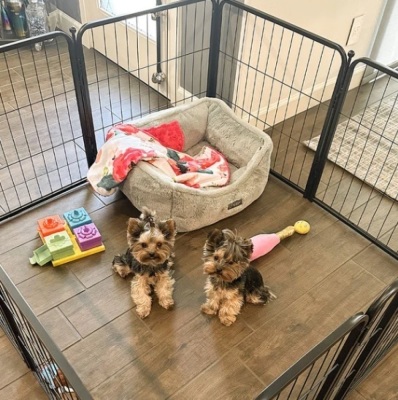 Homeplus Dog Playpen for Indoor Use-24" 8 panels 