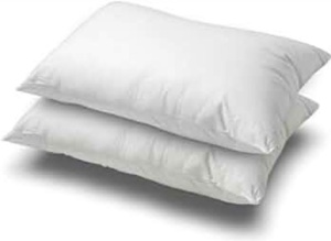  Down and Feather Pillow - Standard Size - Pack of 2-20x26 inch